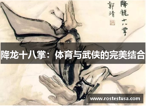 降龙十八掌：体育与武侠的完美结合